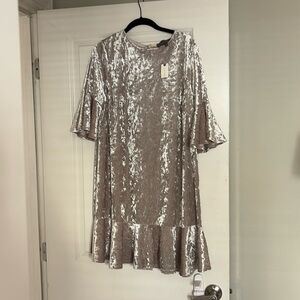 Anthropologie Silver Crushed Velvet Party Dress